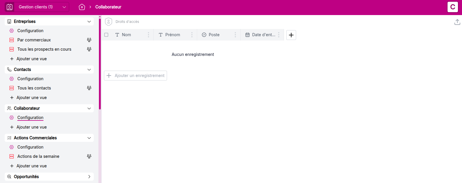 Objet Collaborateur avec champs créés mais sans donnée
