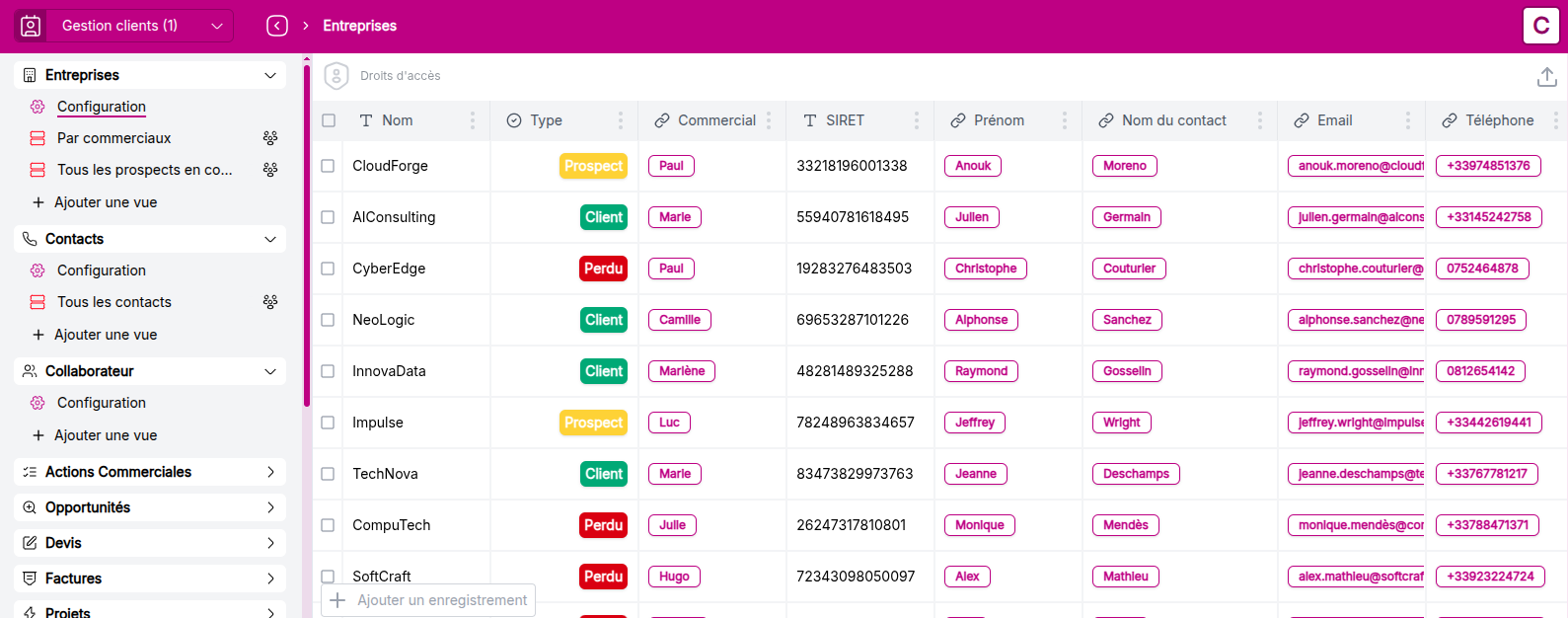 Vue de l'objet Entreprises après import des données des contacts